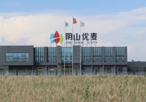 權(quán)威！陰山優(yōu)麥被認(rèn)證為“中國有機燕麥第 一品牌”